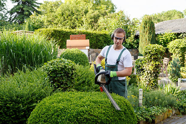 Best Lawn Watering Services  in Hasbrouck Heights, NJ